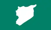 Флаг Сирии Решение о натурализации Mada Real Estate